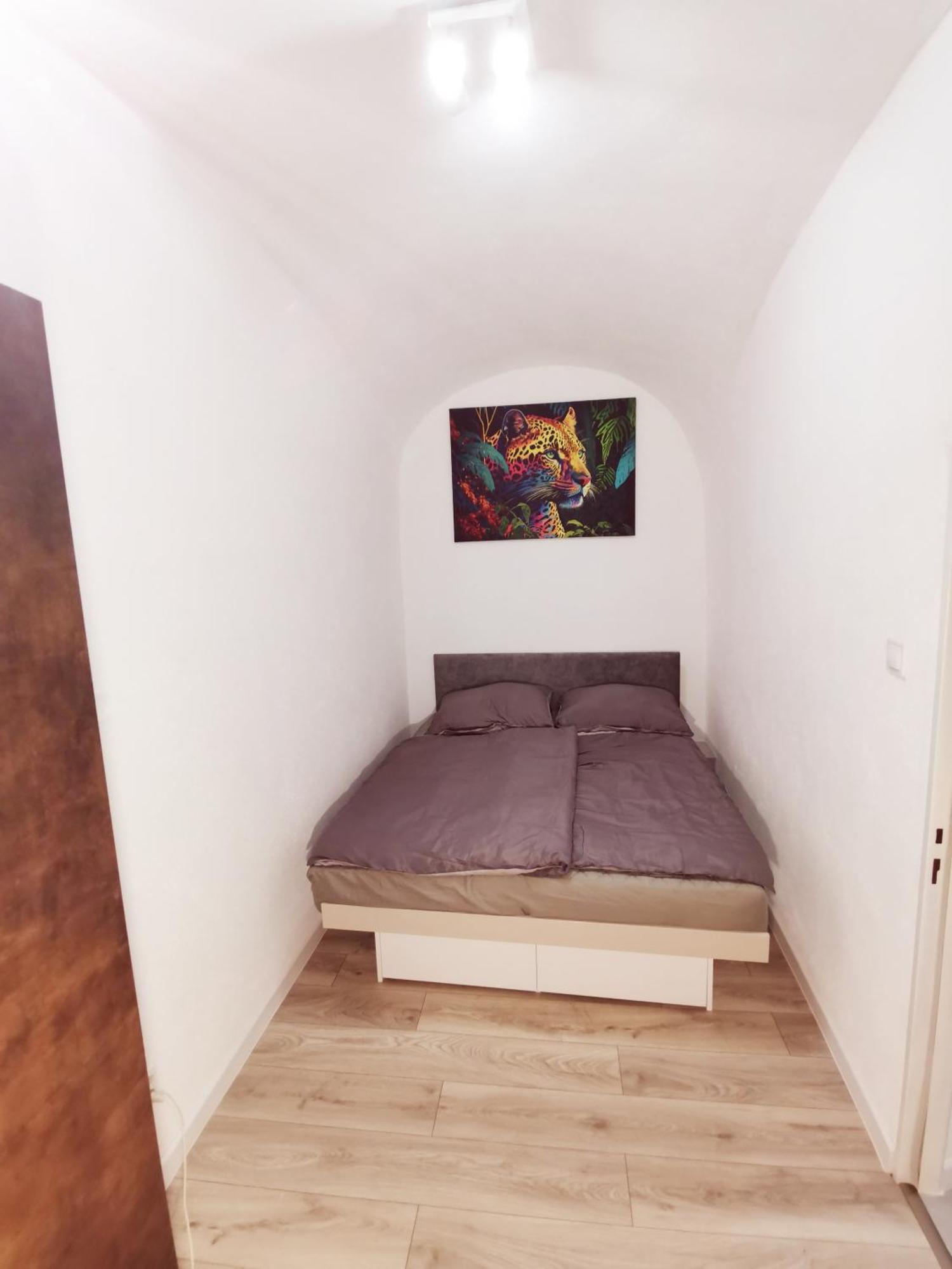 Apartment Alma Downtown